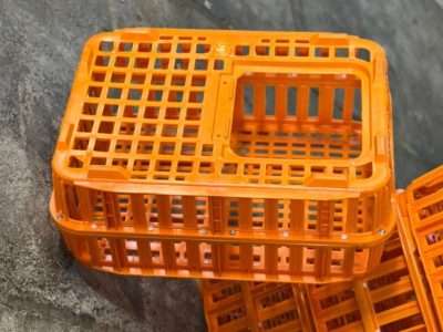 اشتباهات رایج در استفاده از سبد حمل مرغ زنده که باعث تلفات می‌شود